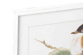 DKD Home Decor Cuadro Shabby Multicolor 2.5 x 60 x 60 cm (4 Unidades) Cristal y MDF