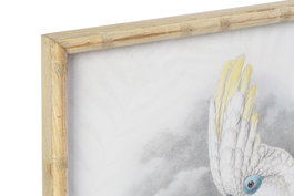 DKD Home Decor Cuadro Colonial Beige Verde Bambú Cristal Cacatúa 70 x 50 x 2.8 cm (2 Unidades)