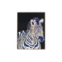 DKD Home Decor Cuadro Cebra Porcelánico Multicolor 60x80 cm