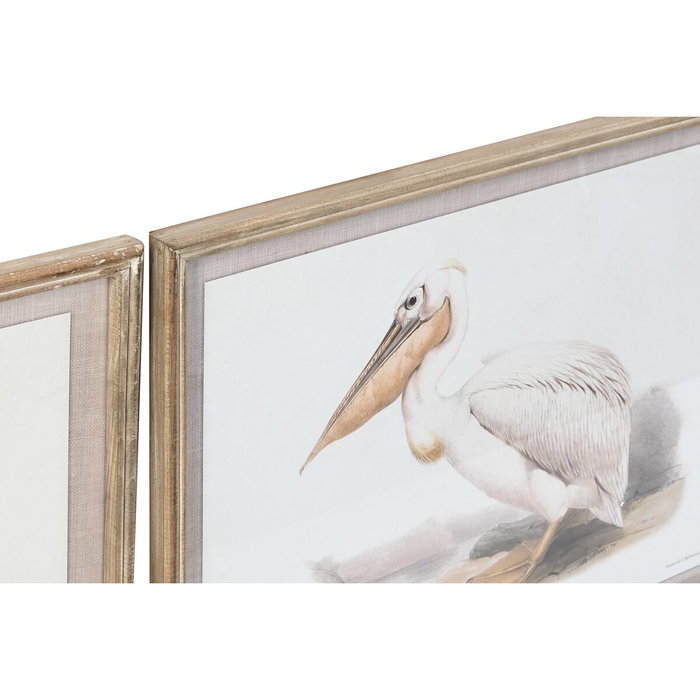 DKD Home Decor Set de 6 Cuadros de Cristal y Abeto con Motivos de Aves, Beige