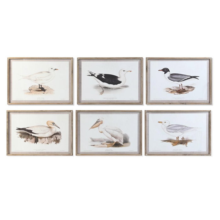 DKD Home Decor Set de 6 Cuadros de Cristal y Abeto con Motivos de Aves, Beige