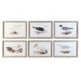 DKD Home Decor Set de 6 Cuadros de Cristal y Abeto con Motivos de Aves, Beige