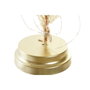 DKD Home Decor Decoración Luminosa LED de Cristal con Flor Seca, 12x12x22 cm