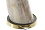 DKD Home Decor Decoración de Cuerno y Metal 10x25x40 cm