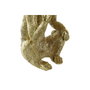 DKD Home Decor Figura de Monos en Resina Dorado Colección Jungle