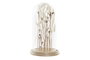 DKD Home Decor Decoración Flor Seca Cristal 18x18x32 Espigas
