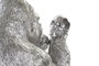DKD Home Decor Figura de Gorila Plateada en Resina