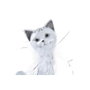 DKD Home Decor Figura de Gato Brillante Blanco en Resina