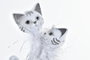 DKD Home Decor Figura Romantico Blanco Resina Gatos 10 x 29 x 15 cm