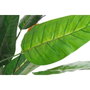 DKD Home Decor Planta PVC Strelitzia 100x100x145 cm