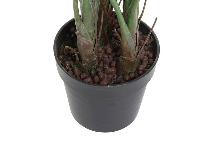 DKD Home Decor Planta 100x145x100 cm