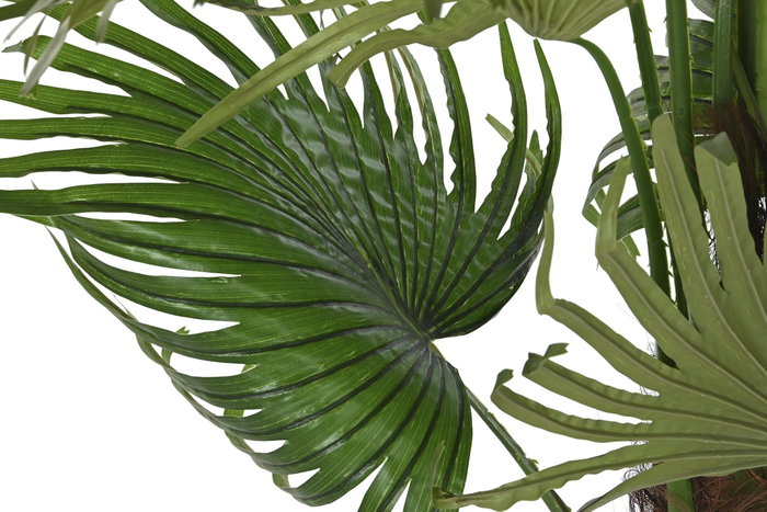 DKD Home Decor Palmera Fan Verde