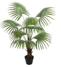DKD Home Decor Palmera Fan Verde
