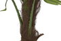 DKD Home Decor Palmera Fan Verde