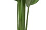 DKD Home Decor Árbol del Viajero Verde 60x60x174 cm