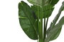 DKD Home Decor Árbol del Viajero Verde 60x60x174 cm