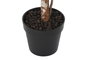 DKD Home Decor Planta PE Verde 60x60x150 cm