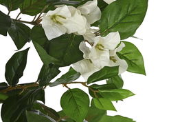 DKD Home Decor Planta Verde Blanco 60 x 150 x 60 cm (2 Unidades)