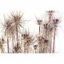 DKD Home Decor Planta PE PVC 40x40x120 Surtido de 2 Unidades