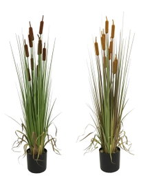 DKD Home Decor Planta Artificial Espadaña Surtido de 2 Unidades (40x40x120 cm)