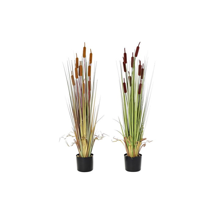 DKD Home Decor Planta Artificial Espadaña Surtido de 2 Unidades (40x40x120 cm)