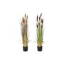 DKD Home Decor Planta Artificial Espadaña Surtido de 2 Unidades (40x40x120 cm)