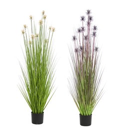 DKD Home Decor Planta PE PVC Erizo Surtido de 2 Unidades 40x40x150 cm