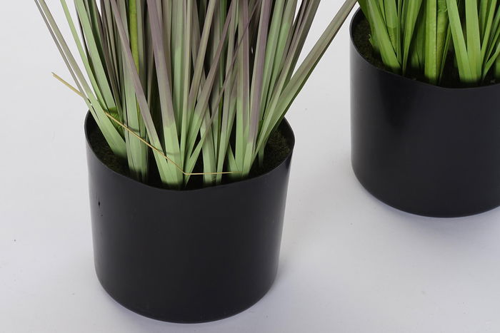 DKD Home Decor Planta Rosa Palo Lila 40 x 150 x 40 cm (2 Unidades)