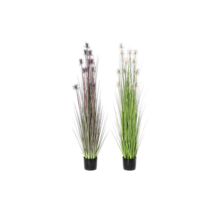 DKD Home Decor Planta PE PVC Erizo Surtido de 2 Unidades 40x40x150 cm DKD Home Decor Planta PE PVC Erizo Surtido de 2 Unidades 40x40x150 cm