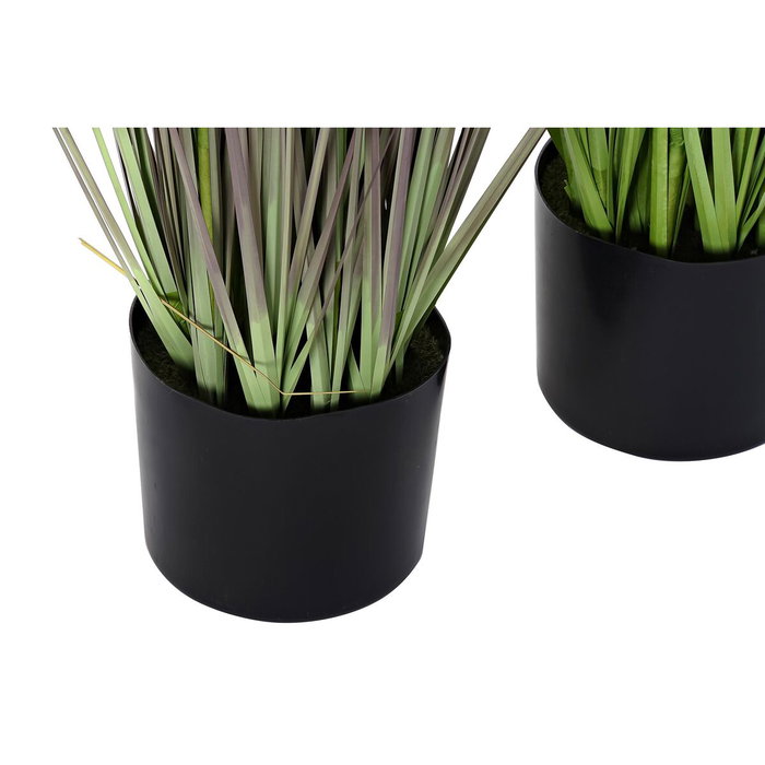 DKD Home Decor Planta PE PVC Erizo Surtido de 2 Unidades 40x40x150 cm DKD Home Decor Planta PE PVC Erizo Surtido de 2 Unidades 40x40x150 cm