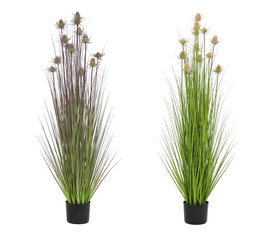 DKD Home Decor Planta Artificial Tipo Cardo Surtido Rosa Palo y Lila 150cm
