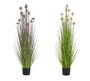 DKD Home Decor Planta Artificial Tipo Cardo Surtido Rosa Palo y Lila 150cm