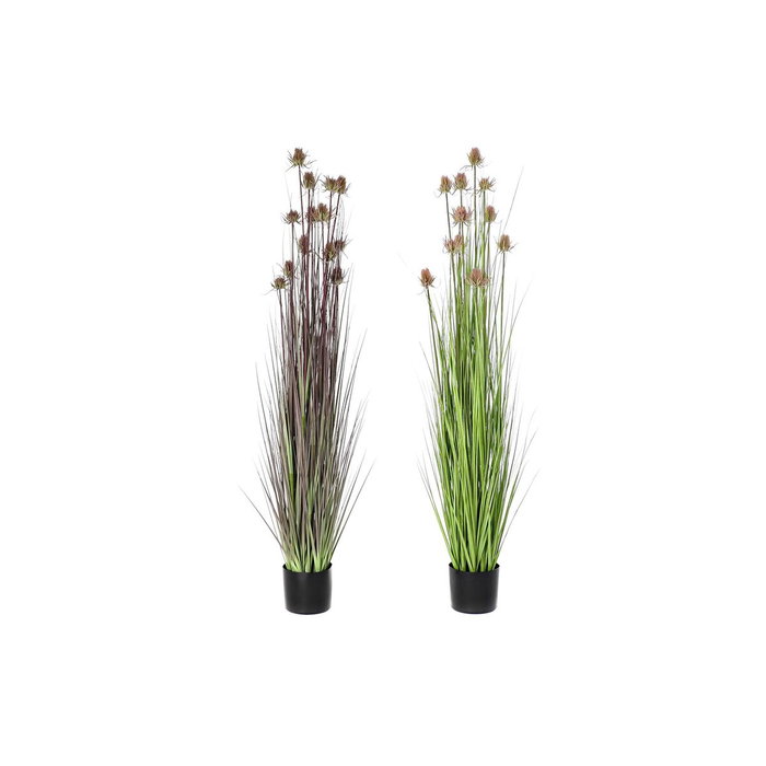 DKD Home Decor Planta Artificial Tipo Cardo Surtido Rosa Palo y Lila 150cm DKD Home Decor Planta Artificial Tipo Cardo Surtido Rosa Palo y Lila 150cm