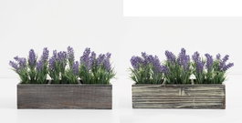 DKD Home Decor Planta de Lavanda 32x14x19,5 cm, Surtido de 2 Unidades