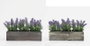 DKD Home Decor Planta de Lavanda 32x14x19,5 cm, Surtido de 2 Unidades