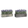 DKD Home Decor Planta de Lavanda 32x14x19,5 cm, Surtido de 2 Unidades
