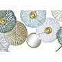 DKD Home Decor Decoración de Metal y Espejo Nenúfar Dorado y Verde Menta