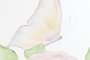 DKD Home Decor Biombo Shabby con Rosas, Biombo Separador Madera y Nylon, Colores Rosa Verde Blanco, 180 cm Alto x 150 cm Ancho
