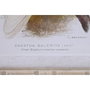 DKD Home Decor Cuadro Cristal Bambú Cacatua Set de 4 Surtido 50x2,8x65 cm