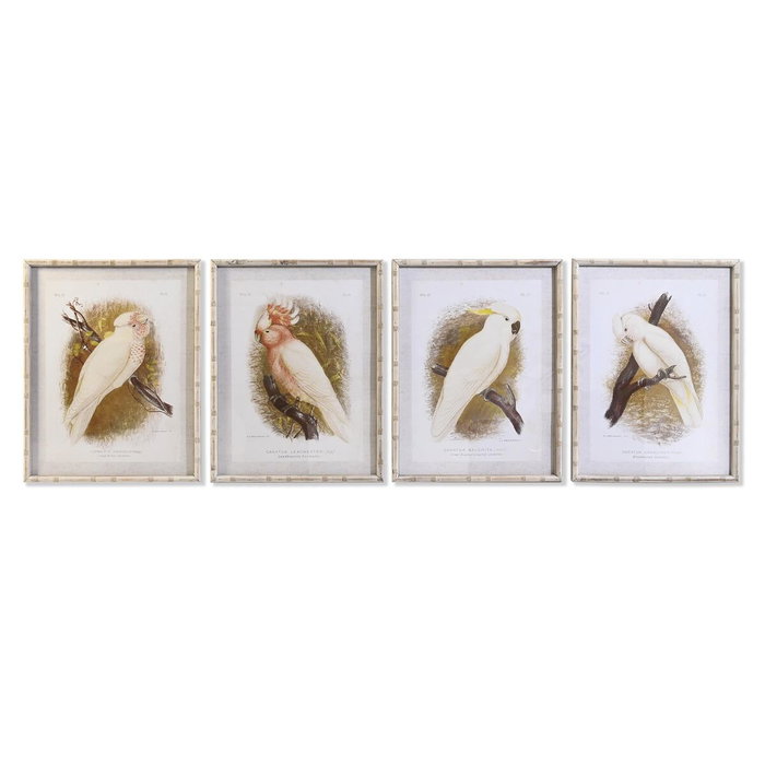 DKD Home Decor Cuadro Cristal Bambú Cacatua Set de 4 Surtido 50x2,8x65 cm