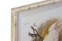 DKD Home Decor Cuadro Blanco Cristal Bambú Cacatua 2.8 x 65 x 50 cm (4 Unidades)