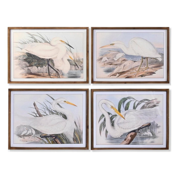 DKD Home Decor Cuadro de Cristal y Abeto Garzas Surtido de 4 Unidades 70x50 cm