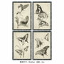 DKD Home Decor Cuadro de Cristal Abeto Mariposas Surtido de 4 Piezas