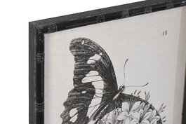 DKD Home Decor Cuadro Negro Cristal Abeto Mariposas 2.8 x 60 x 40 cm (4 Unidades)