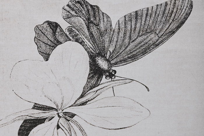 DKD Home Decor Cuadro Negro Cristal Abeto Mariposas 2.8 x 60 x 40 cm (4 Unidades)