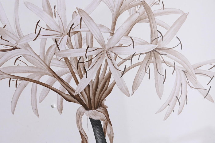 DKD Home Decor Cuadro Flores Blanco Beige Cristal Abedul 2.5 x 70 x 55 cm (4 Unidades)