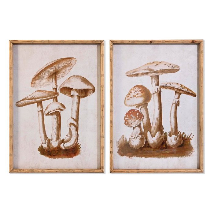 DKD Home Decor Set de 2 Cuadros de Cristal y Bambú con Diseño de Setas, 50x70 cm, Marrón