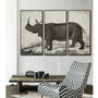 DKD Home Decor Set de 3 Cuadros sobre Lienzo Rinoceronte 180x4x120 cm