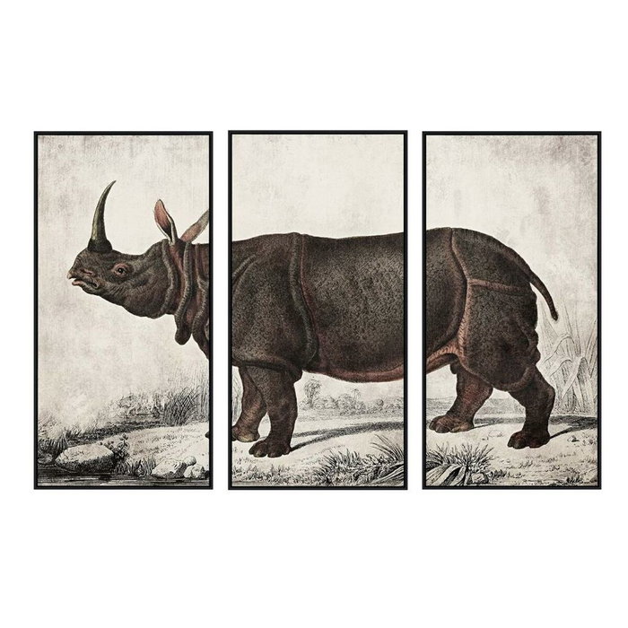 DKD Home Decor Set de 3 Cuadros sobre Lienzo Rinoceronte 180x4x120 cm