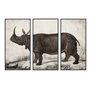 DKD Home Decor Set de 3 Cuadros sobre Lienzo Rinoceronte 180x4x120 cm
